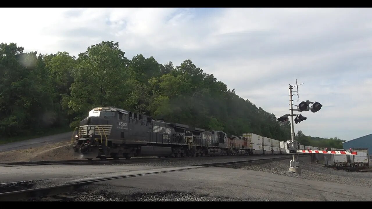 NS intermodal with a BNSF power at the brick yard