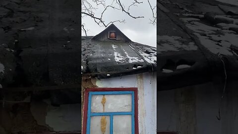 В деревне учатся зарабатывать тиктоками