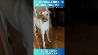 HOW FUNNY IS DO YOU THINK THIS IS? 5 RATE 1-10 IN COMMENT