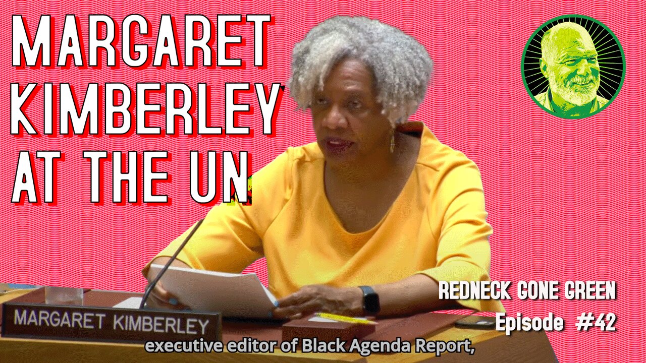 Margaret Kimberley: Presentation on Ukraine at the UN Security Council