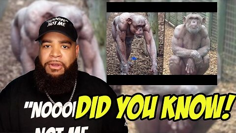 15 Things That You Will See for the First Time in Your Life! Artofkickz Reacts