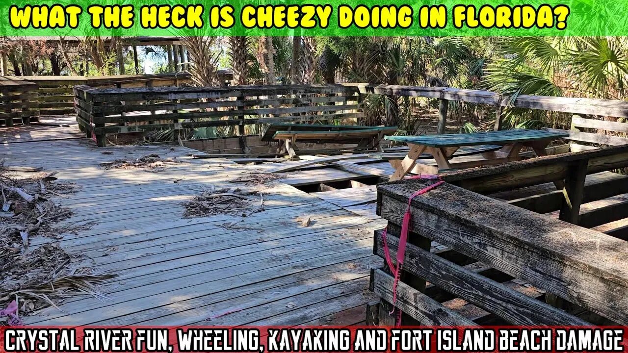 Crystal River Wheeling jeep, Kayaking with manatees dolphins alligators, fort island beach damage