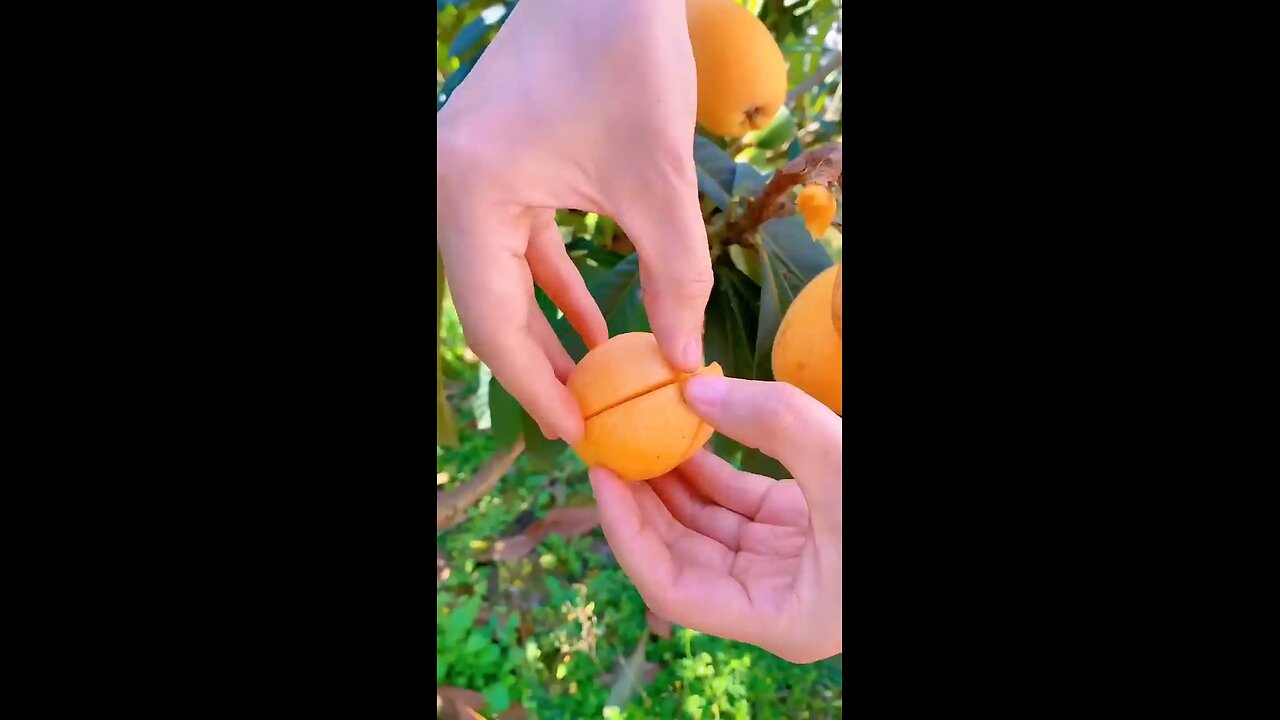 nature give us everything