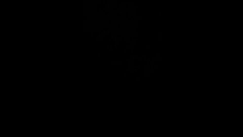 How to pronounce money made