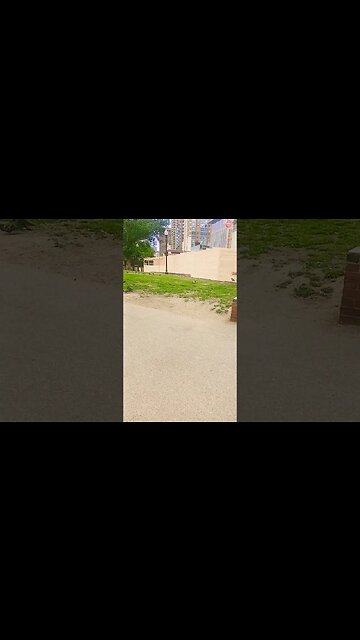 The Homeless Shelter Staff that work these jobs get off on playing with people time.#t ant