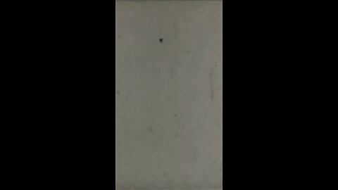 Are y’all enjoying the 💩show part 1