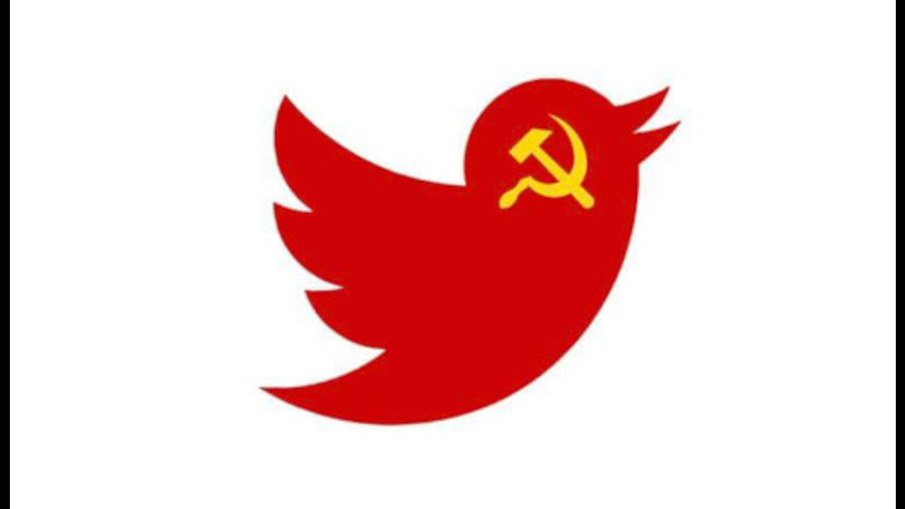 Twitter has the Gall to Complain about Freedom of EXPRESSION