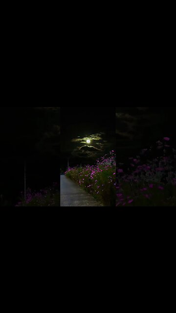 CHAOS Phong Cách Hàn Ulzzang GAU với giá ₫99.500. Mua ngay trên Shopee! https://shope.ee/1VSCo89Dv9