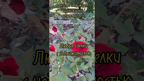 Обзоры/ ст. Староминская/ Продадим Вашу недвижимость по выгодной цене! #агентствонедвижимости
