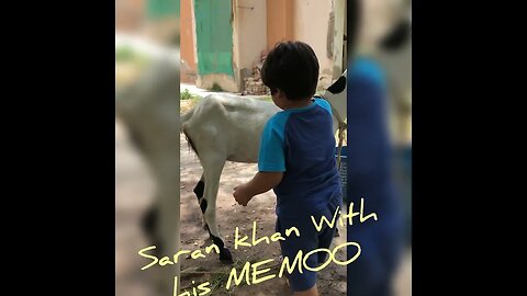 Baby loves goat #paws #babylovesgoat #goat #love