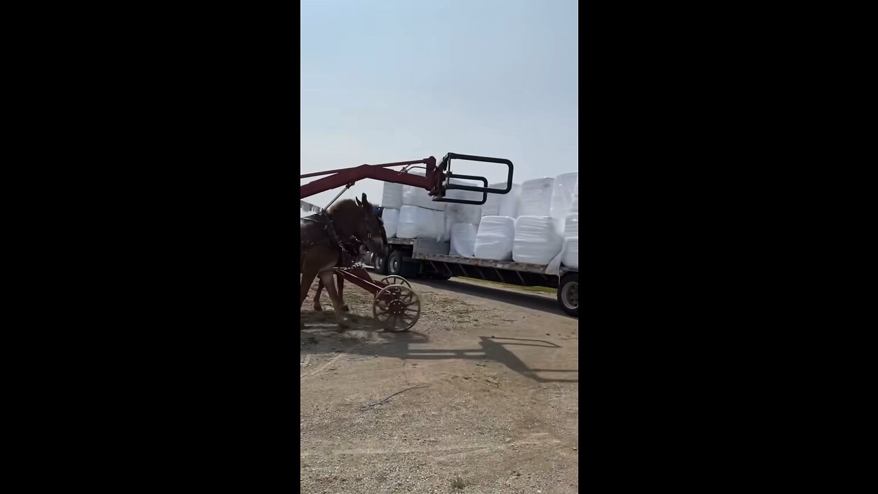 You ever have two mules unload your trailer?