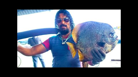 Bat Fish Cutting