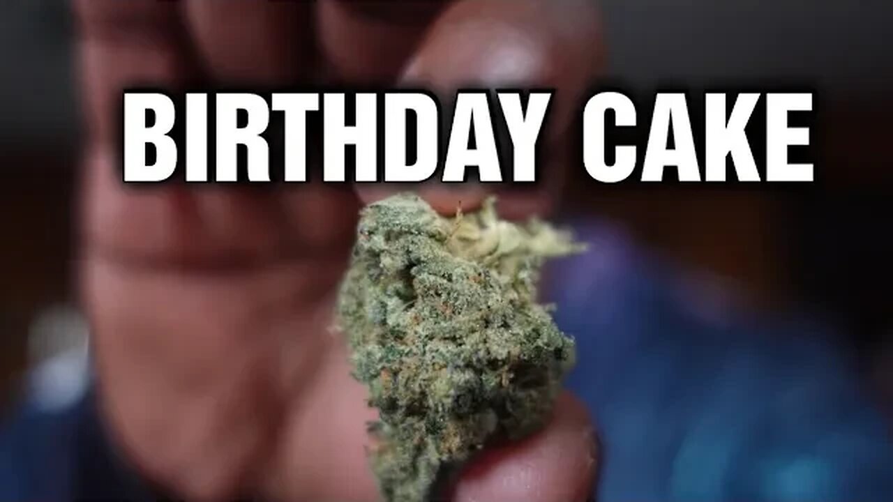 THCA | BIRTHDAY CAKE STRAIN – BL TOP SHELF - JK DISTRO