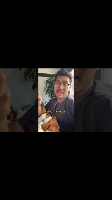 Elon Musk's AI Hypocrisy #elonmusk #ai