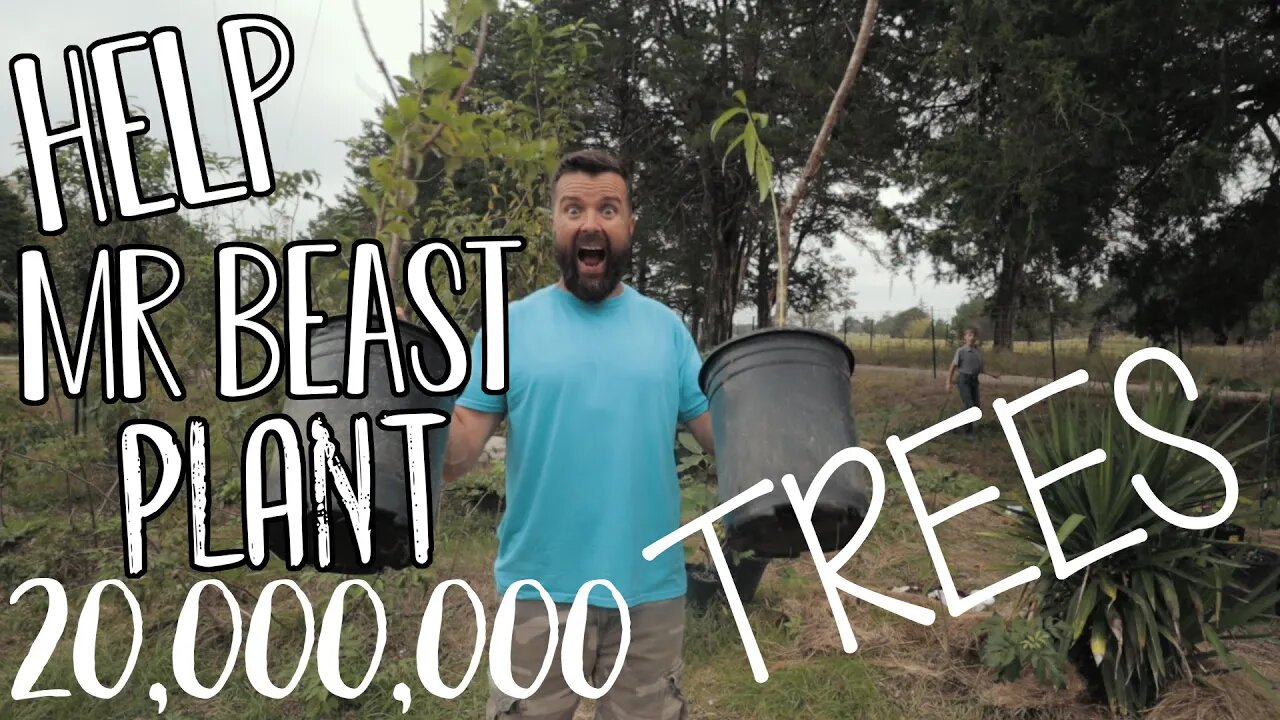 Help Mr BEAST, Mark Rober and Smarter Everyday PLANT 20,000,000 TREES!!!