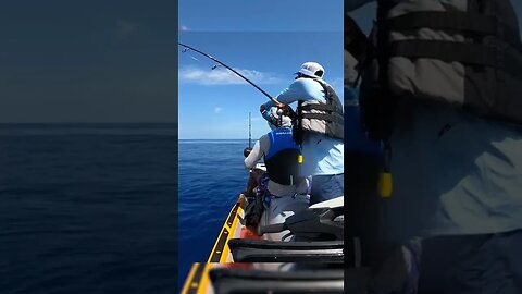 Mahi Mahi Fishing On My Jet Ski