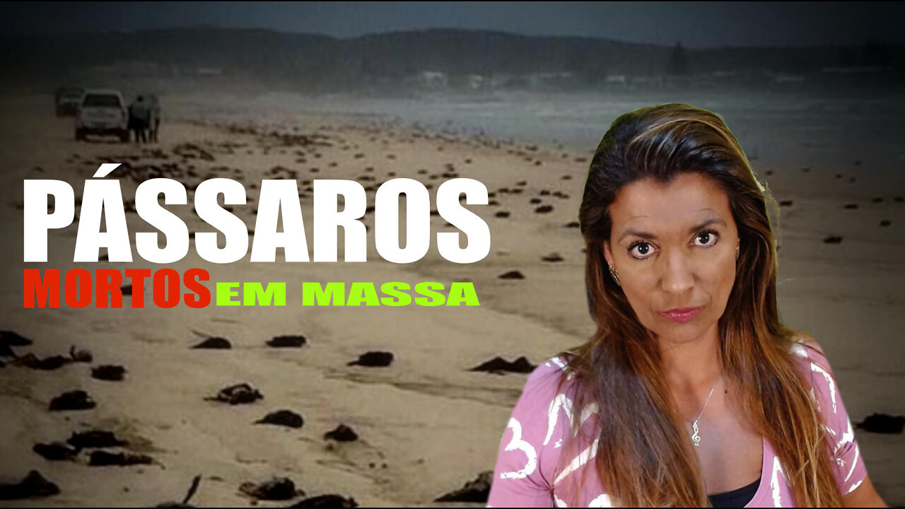Pássaros Estão Morrendo EM MASSA no Mundo Inteiro