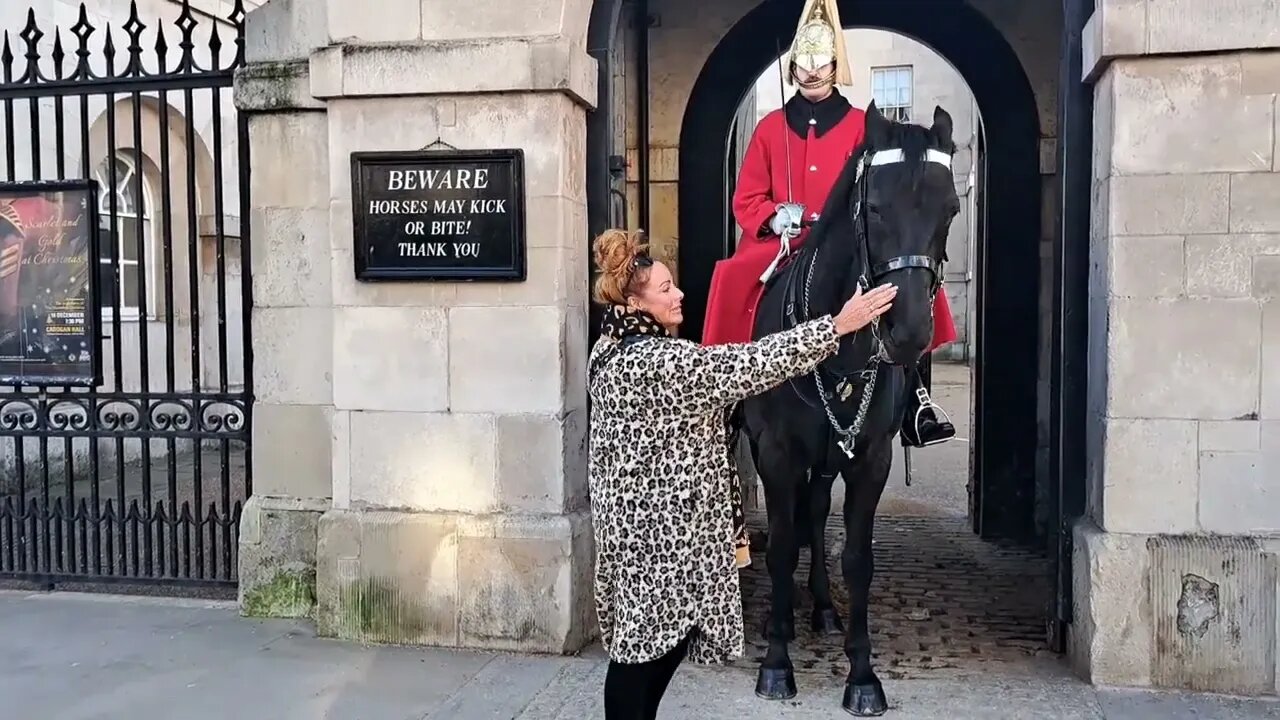 HORSE STILL IN A BAD MOOD STILL TRYING TO BITE #horseguardsparade