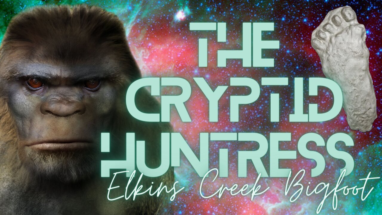 THE ELKINS CREEK BIGFOOT - GEORGIA'S BEST BIGFOOT EVIDENCE WITH TINA LEE