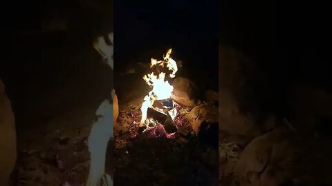 Wild Camping