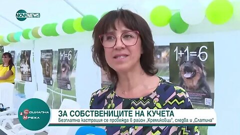 Кампания обяснява ползите от кастрация на домашни кучета