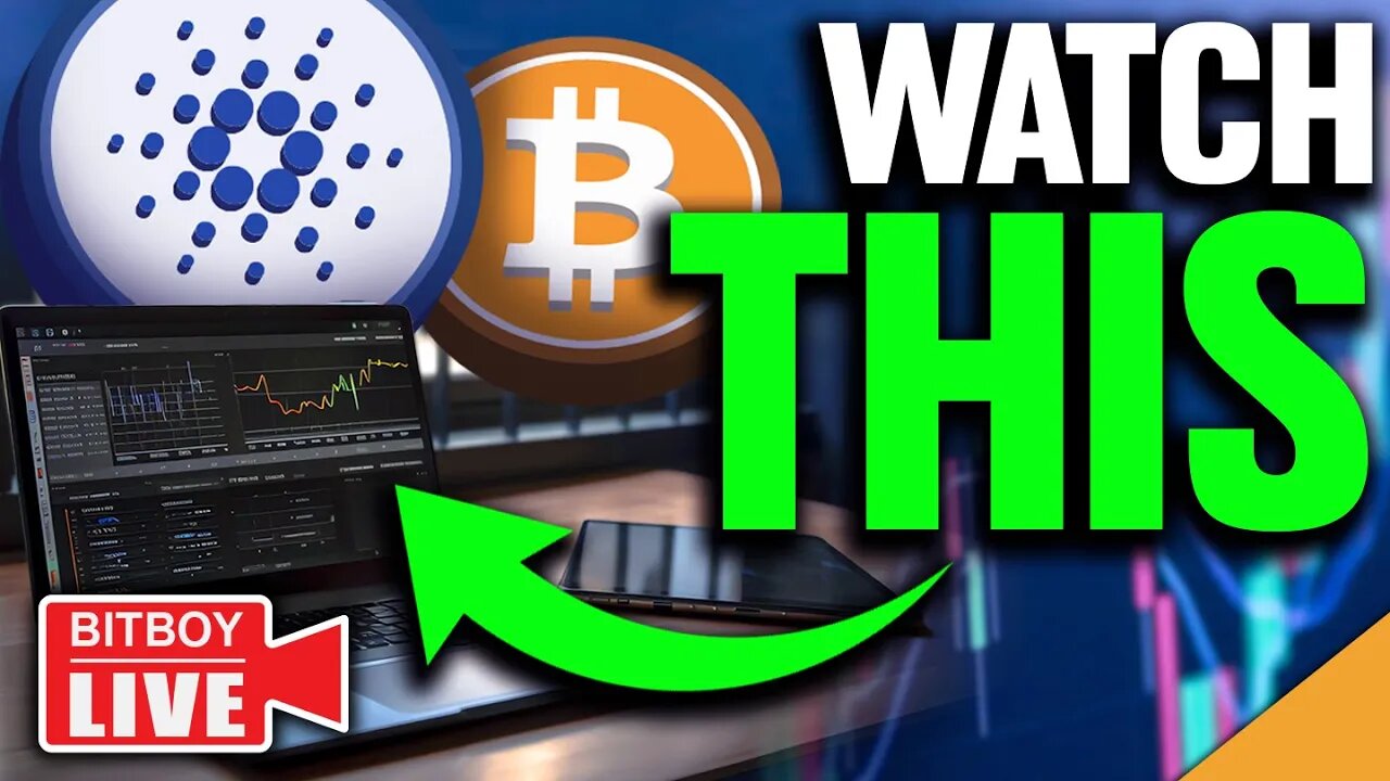 Bitcoin REVERSAL! (Important Cardano Metrics To Watch)