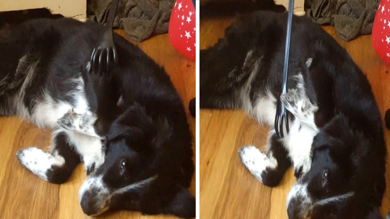 Angel loves a tickle