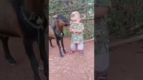 Kid Vs Goat 🐐🤣 #shorts #kids #goat