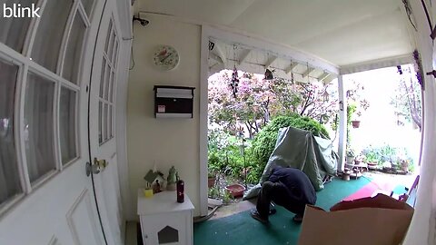 NORTH_VIDEO_DOOR_BELL_2023-04-30T14_54_13-0400.mp4