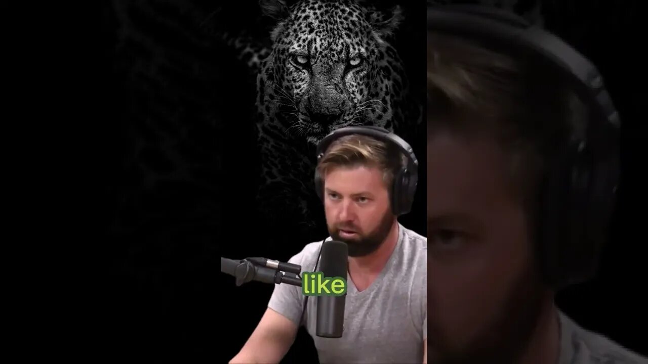 Jaguars and Mountain Lions stories with Joe Rogan and Forrest Galante #shorts