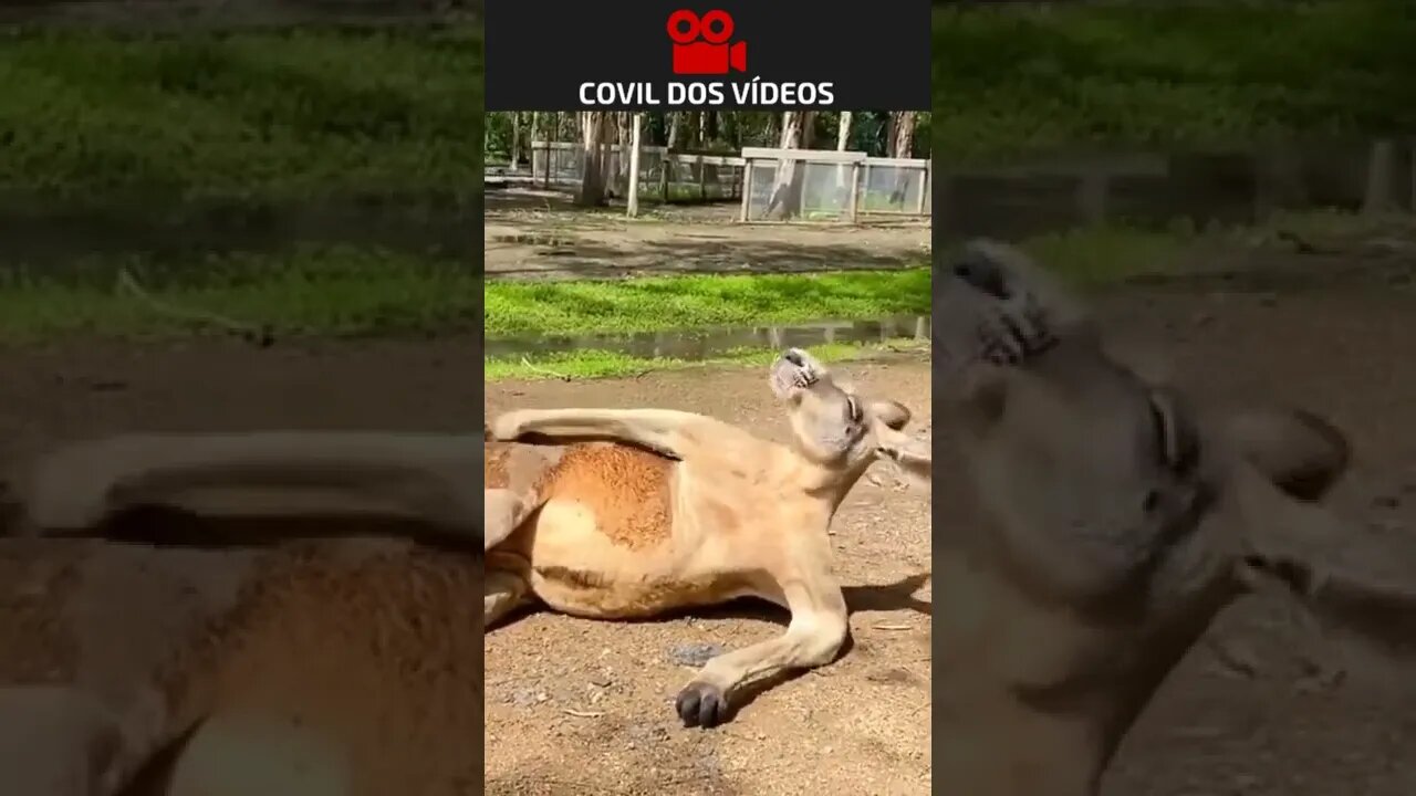 TOMANDO BANHO DE SOL