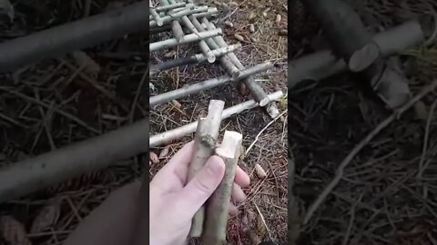 Bushcraft cage #bushcraft