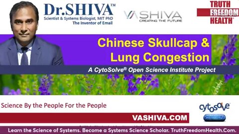 Chinese Scullcap and Lung Congestion. CytoSolve Molecular Systems Analysis.