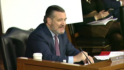 Sen. Ted Cruz Grills FBI and DOJ About January 6th