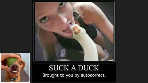 Memes That Will 99.853% Make You Laugh. (e78)