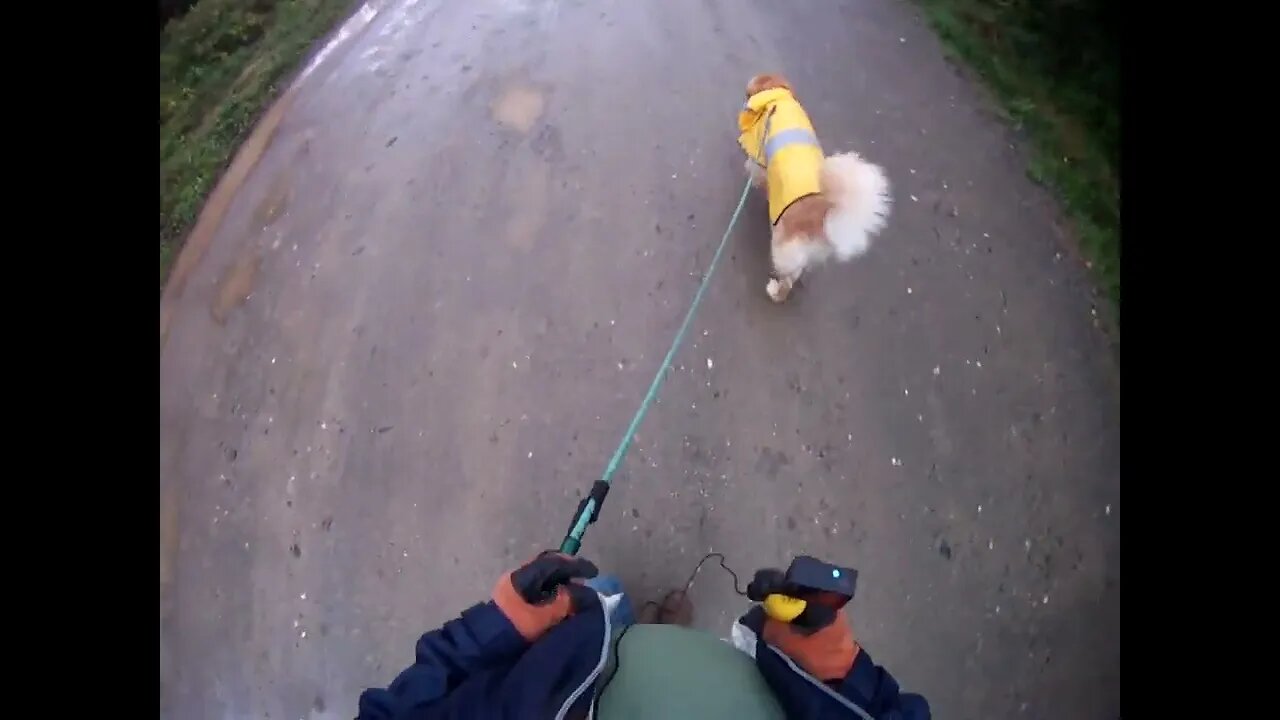 August 19th, 62 Degrees, Flynn dons a slicker.