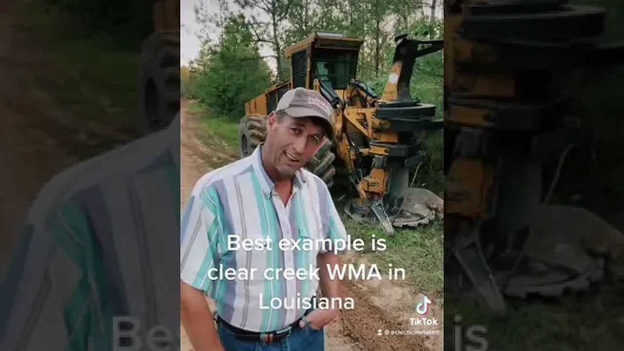 A specific type of habitat- not all of US. And not against logging- but rather- advocating burning!
