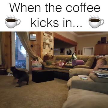 "When The Coffee Kicks In..."
