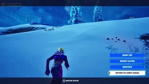 Fornite Lets Hunt Some Eggs
