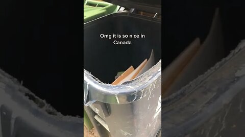 So Nice In Canada tiktok mama raccoon