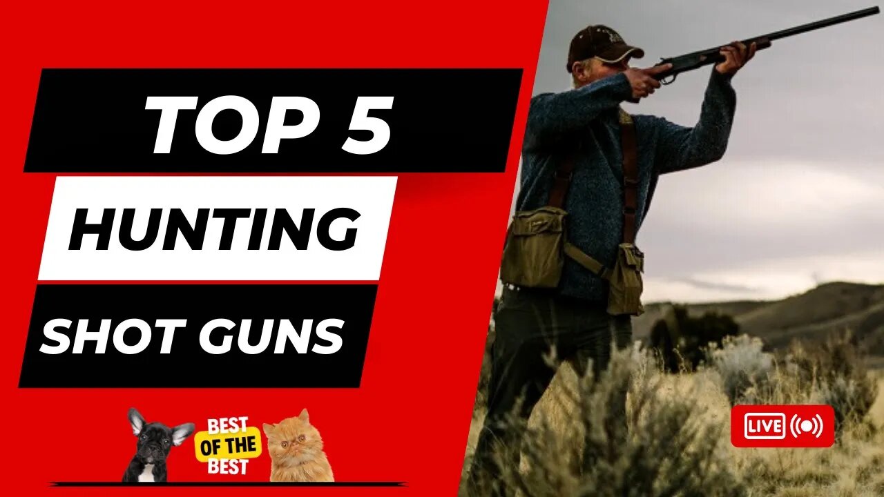 USA's TOP 5 BEST HUNTING SHOTGUNS