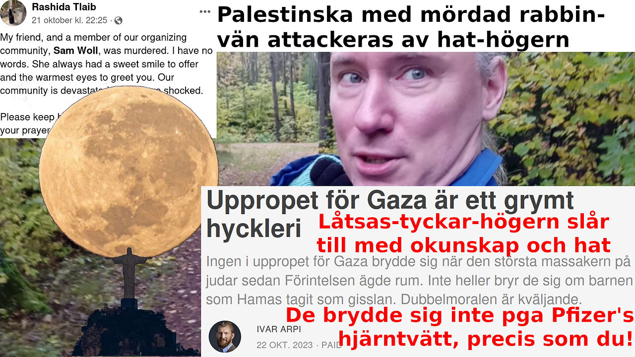 Bibi-supporters går ensamma in i en 𝗳𝗮̈𝗹𝗹𝗮. Bevis USA styr Ukraine. Se troll som AIn. Månerier