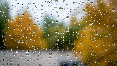 30 Minutes Gentle Rain Sounds on Window | Calm Rain | Rain on Screen for Sleep, Study