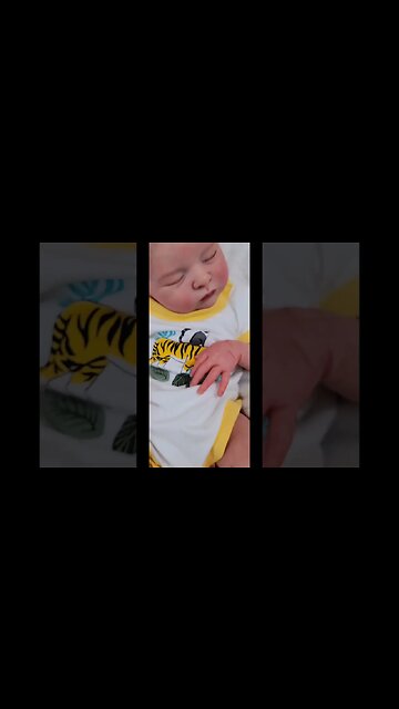 Womb Bag - How Babies Are Born