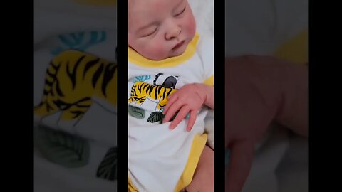 Womb Bag - How Babies Are Born