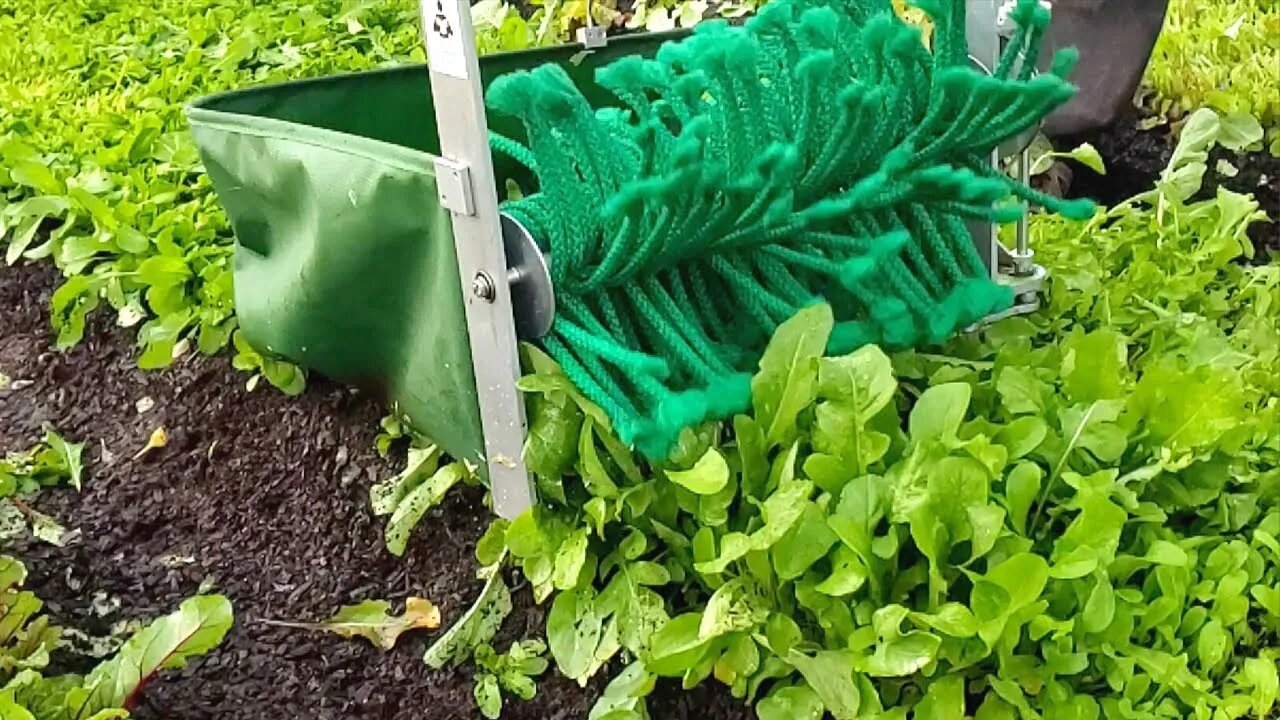 Harvest Salad Greens in SECONDS Quick Cut Greens Harvester