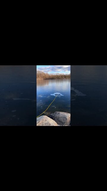 Magna Fishing Cold as H— Magnet