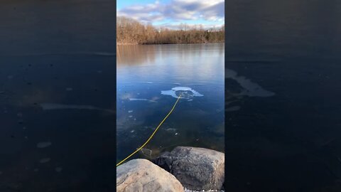 Magna Fishing Cold as H— Magnet