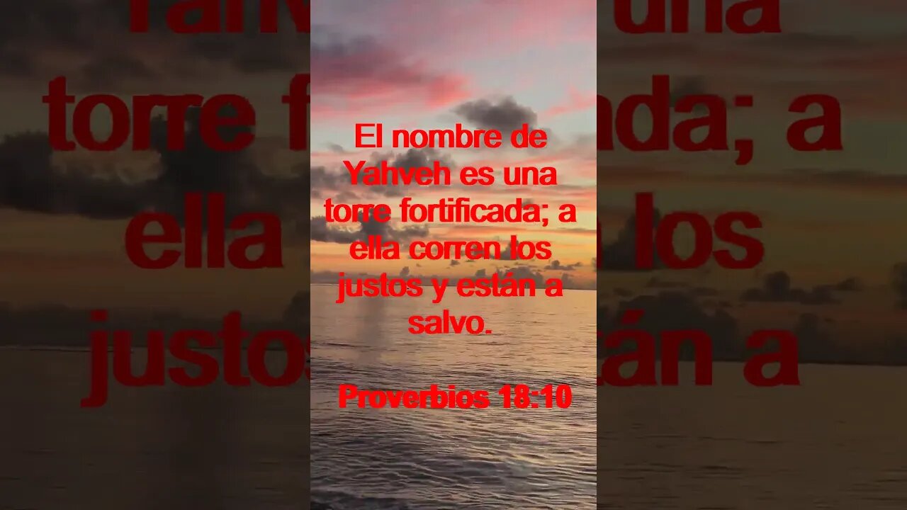 Verso Del Día | Lectura Inspiradora Para Empezar El Día. | 89