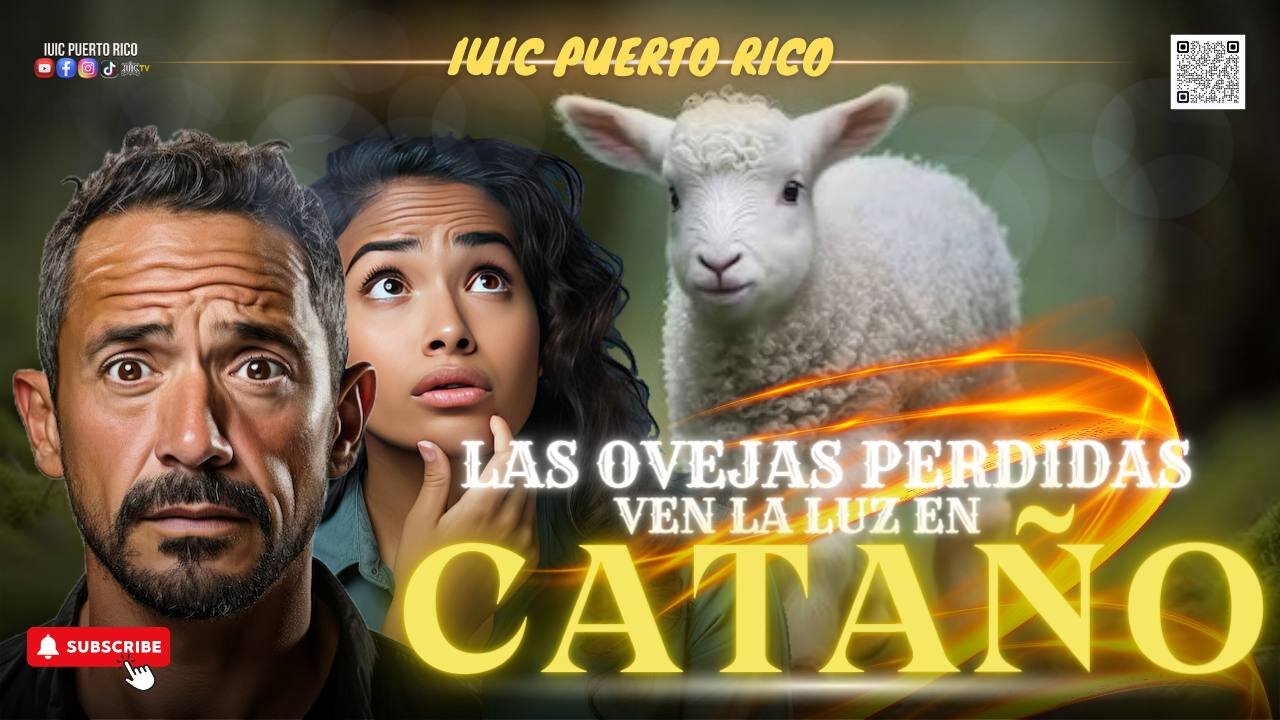 Las ovejas perdidas ven Luz en Cataño
